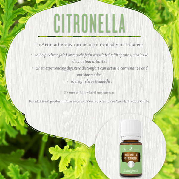 citronella