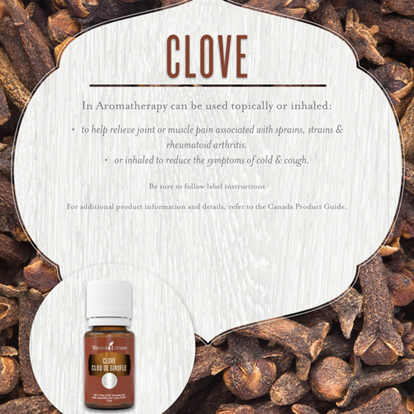 clove