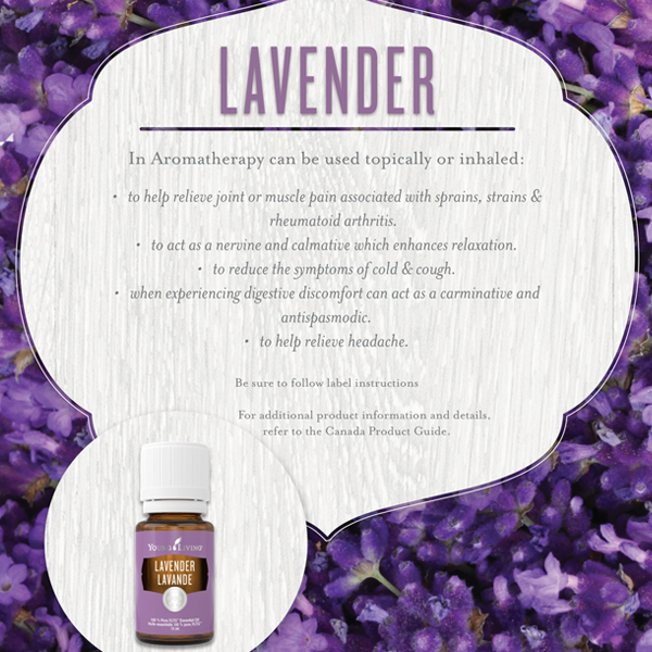 lavender