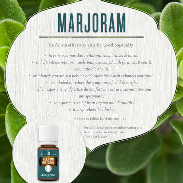 marjoram