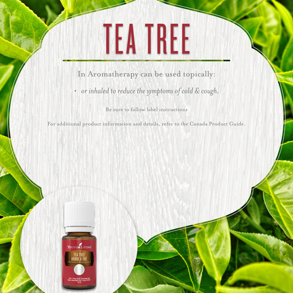 tea-tree