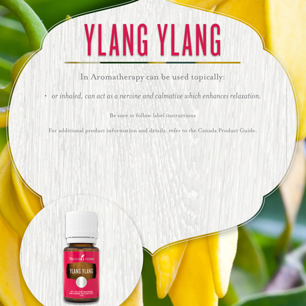 ylang