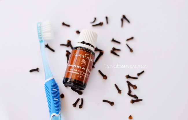 Young Living Essential oils clove